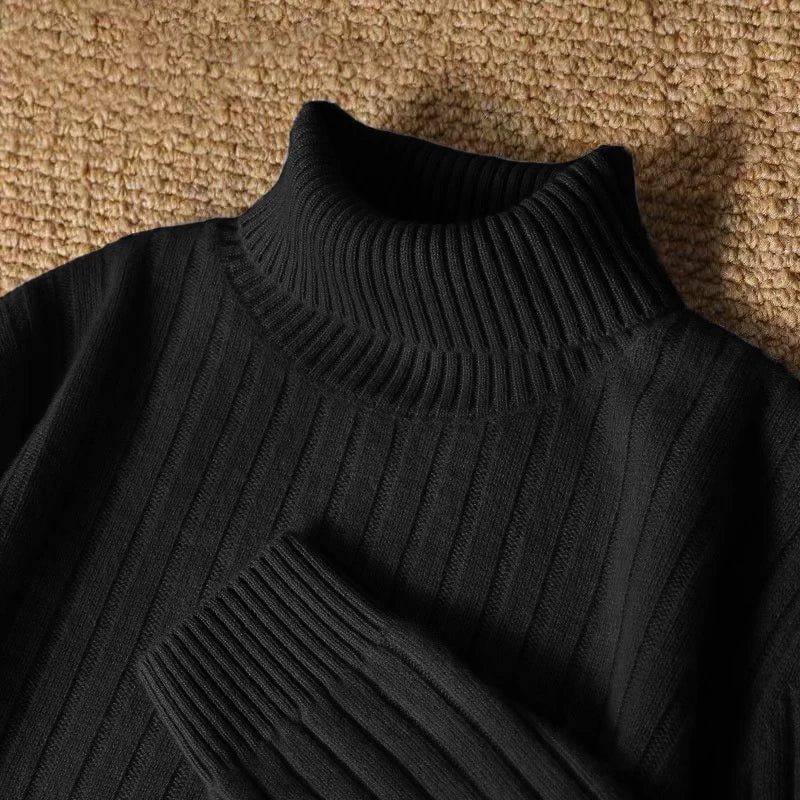 Animal Game Men's Long Turtleneck Stripes Sweater Casual Knitwear