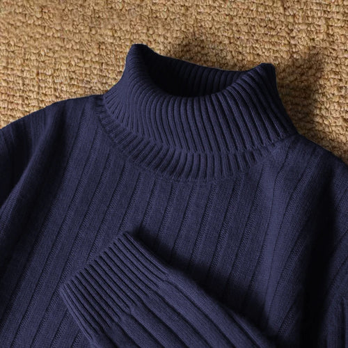 Animal Game Men's Long Turtleneck Stripes Sweater Casual Knitwear