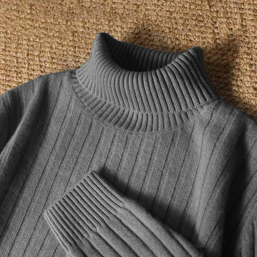 Animal Game Men's Long Turtleneck Stripes Sweater Casual Knitwear
