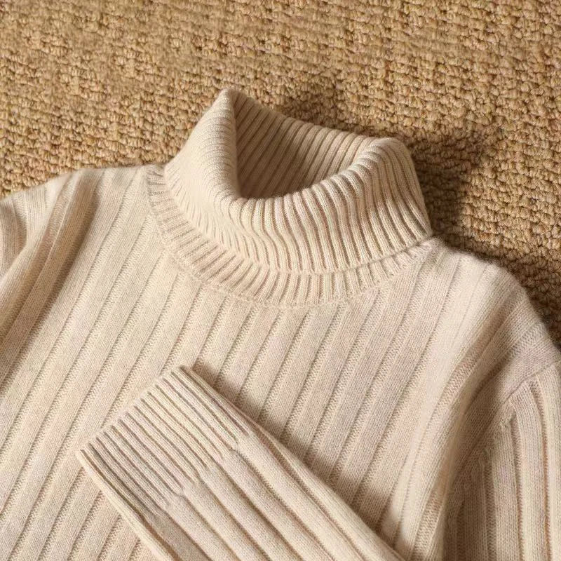 Animal Game Men's Long Turtleneck Stripes Sweater Casual Knitwear