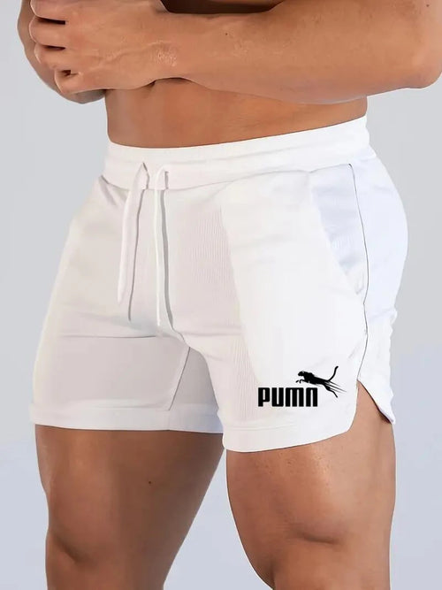Summer Mesh Quick Drying Shorts Men's Sports Casual Shorts Men's