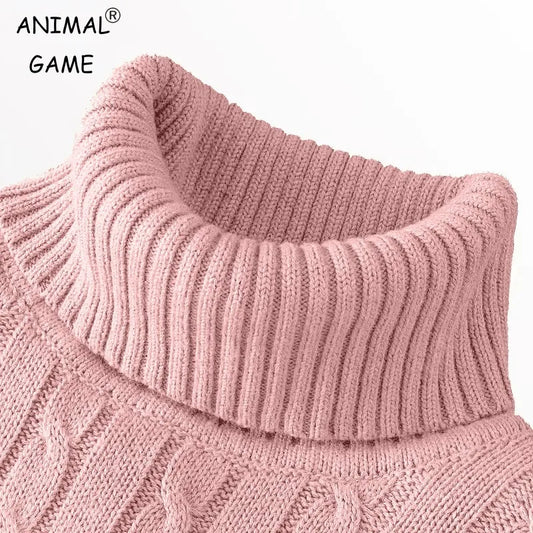 Autumn Men's Long Sleeve Knitted Sweaters Men's Slim Fit Turtleneck