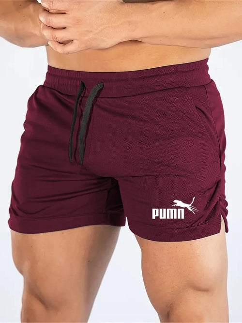 Summer Mesh Quick Drying Shorts Men's Sports Casual Shorts Men's