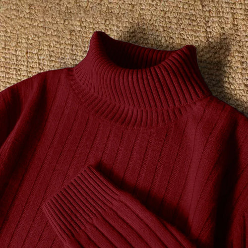 Animal Game Men's Long Turtleneck Stripes Sweater Casual Knitwear