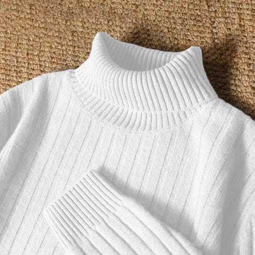 Animal Game Men's Long Turtleneck Stripes Sweater Casual Knitwear