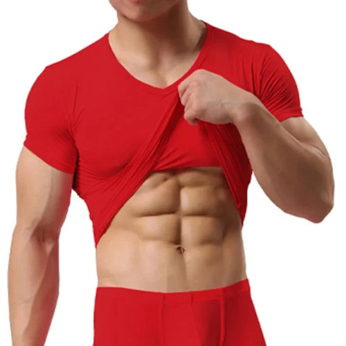 Men's Sheer Undershirts Man Ice Silk Mesh See through Basics Shirts