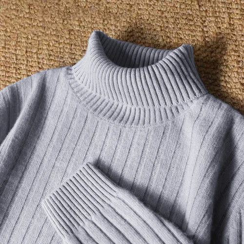Animal Game Men's Long Turtleneck Stripes Sweater Casual Knitwear