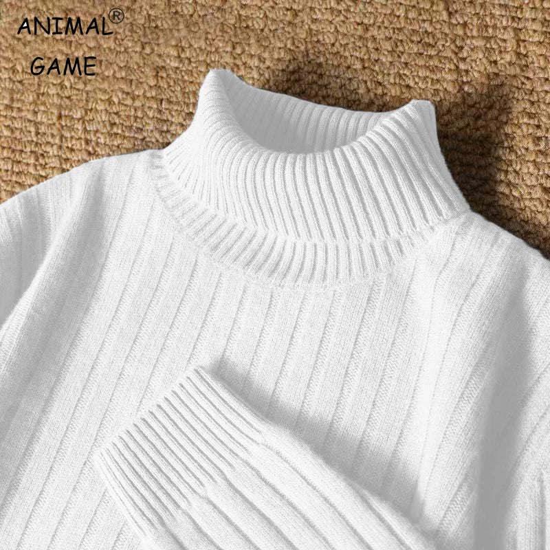 Animal Game Men's Long Turtleneck Stripes Sweater Casual Knitwear