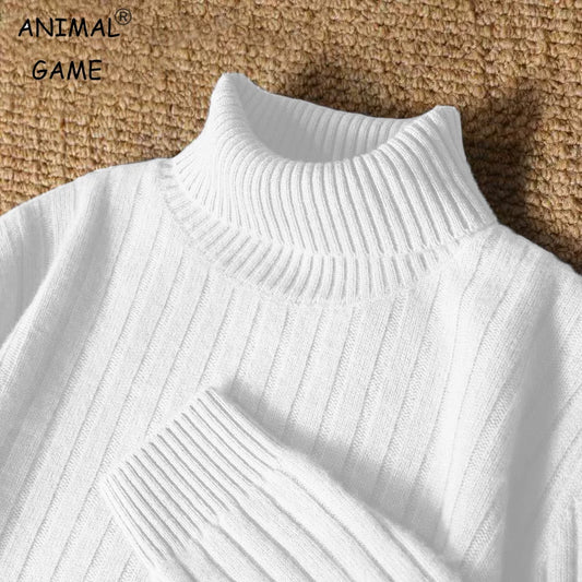 Animal Game Men's Long Turtleneck Stripes Sweater Casual Knitwear