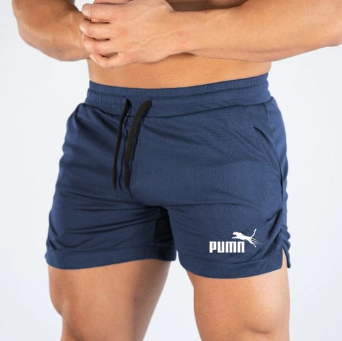 Summer Mesh Quick Drying Shorts Men's Sports Casual Shorts Men's
