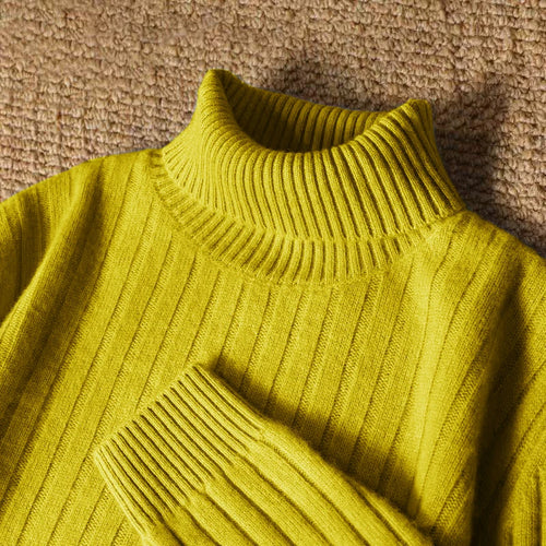 Animal Game Men's Long Turtleneck Stripes Sweater Casual Knitwear