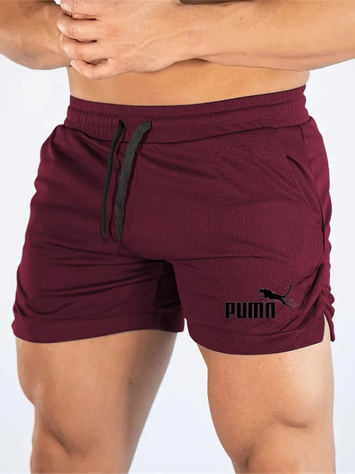Summer Mesh Quick Drying Shorts Men's Sports Casual Shorts Men's