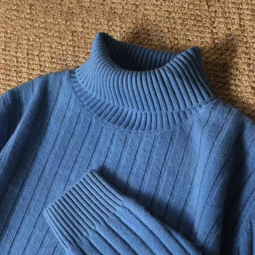 Animal Game Men's Long Turtleneck Stripes Sweater Casual Knitwear